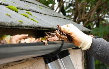 gutter cleaning Standon