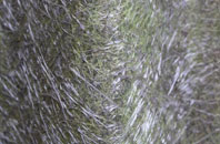 Standon fibreglass roof work